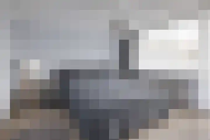 Poelruitstraat 9 Waalwijk thumbnail 16