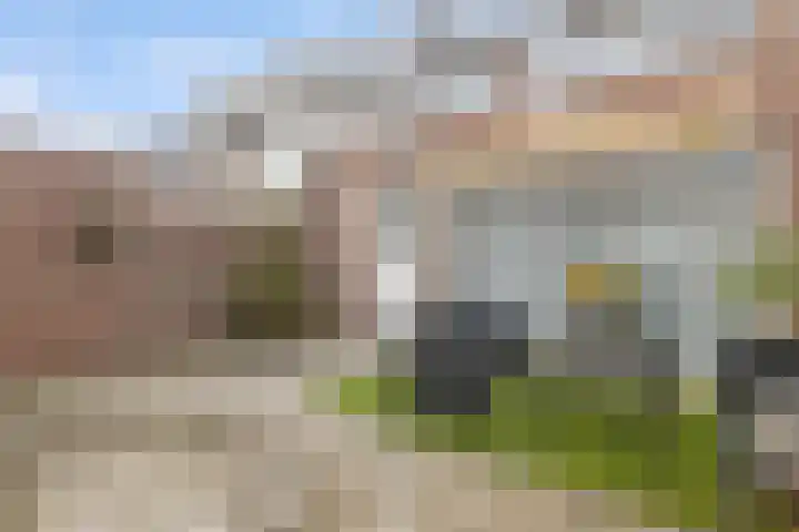 Poelruitstraat 9 Waalwijk thumbnail 30
