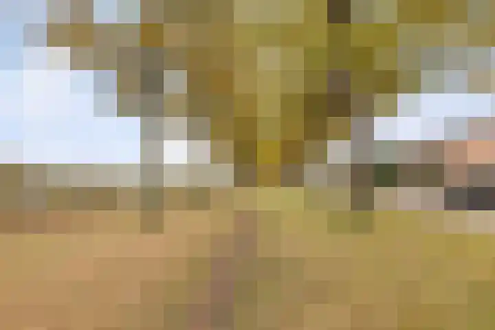 Poelruitstraat 9 Waalwijk thumbnail 33