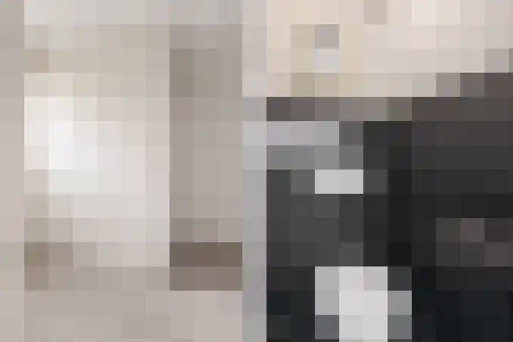 Poelruitstraat 9 Waalwijk thumbnail 6