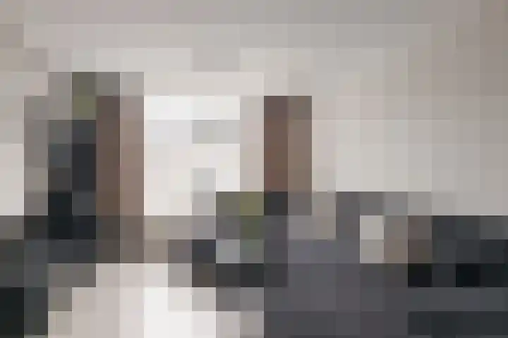 Poelruitstraat 9 Waalwijk thumbnail 7