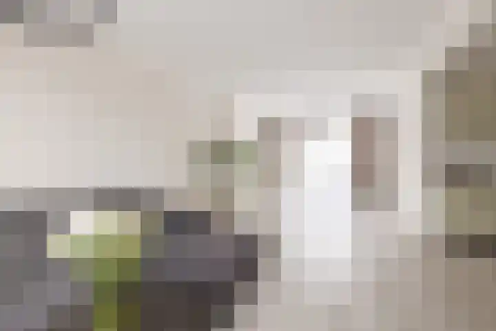 Poelruitstraat 9 Waalwijk thumbnail 8