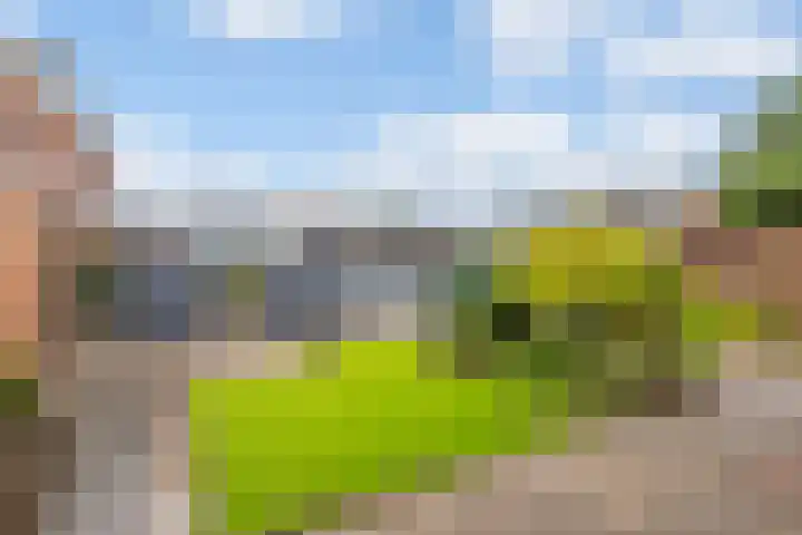 Poelsestraat 7 Angeren thumbnail 14