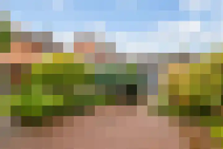 Poelsestraat 7 Angeren thumbnail 15