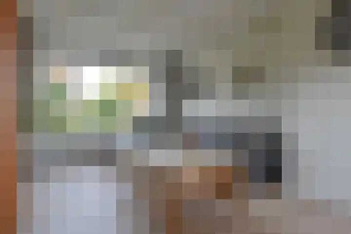 Poelsestraat 9 Angeren thumbnail 10