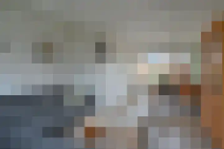 Poelsestraat 9 Angeren thumbnail 11