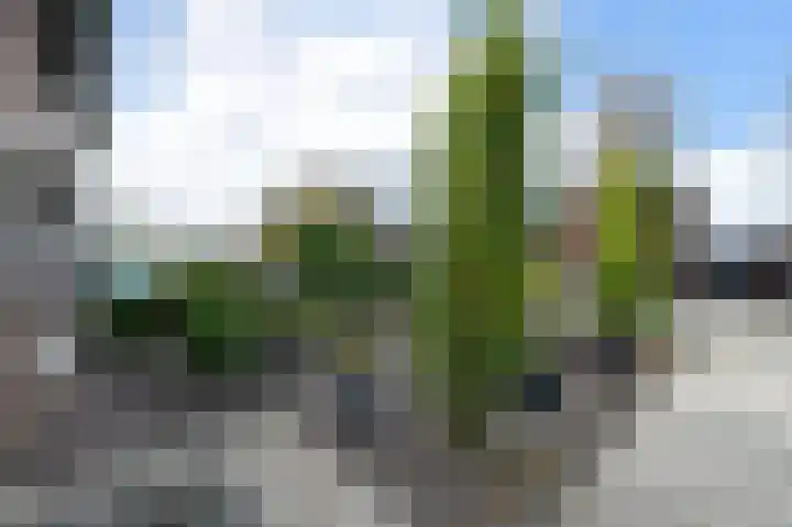 Poelsestraat 9 Angeren thumbnail 5