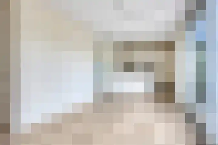 Poelshof 3 Hooge Mierde thumbnail 14