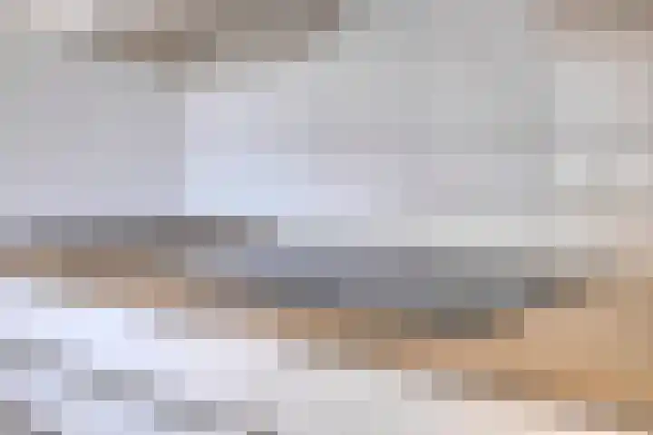 Poelshof 3 Hooge Mierde thumbnail 15