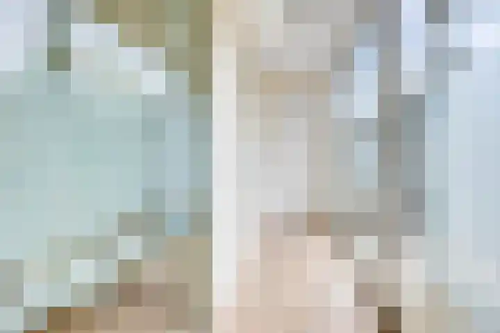 Poelshof 3 Hooge Mierde thumbnail 17