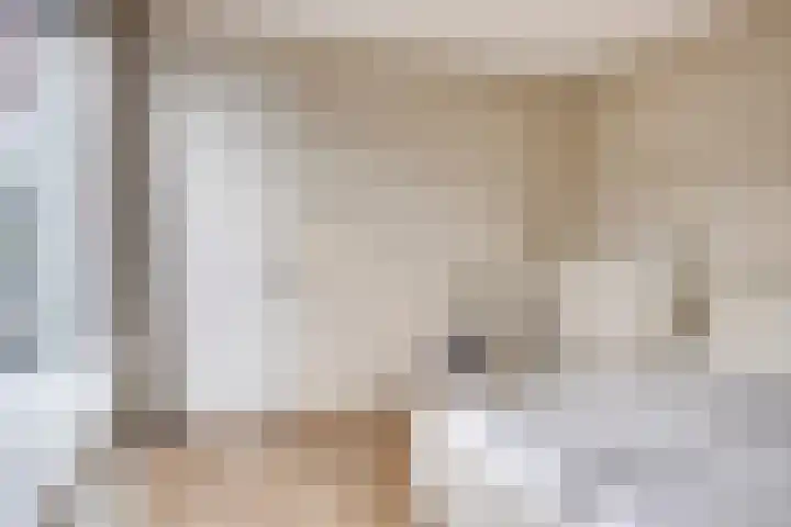 Poelshof 3 Hooge Mierde thumbnail 23