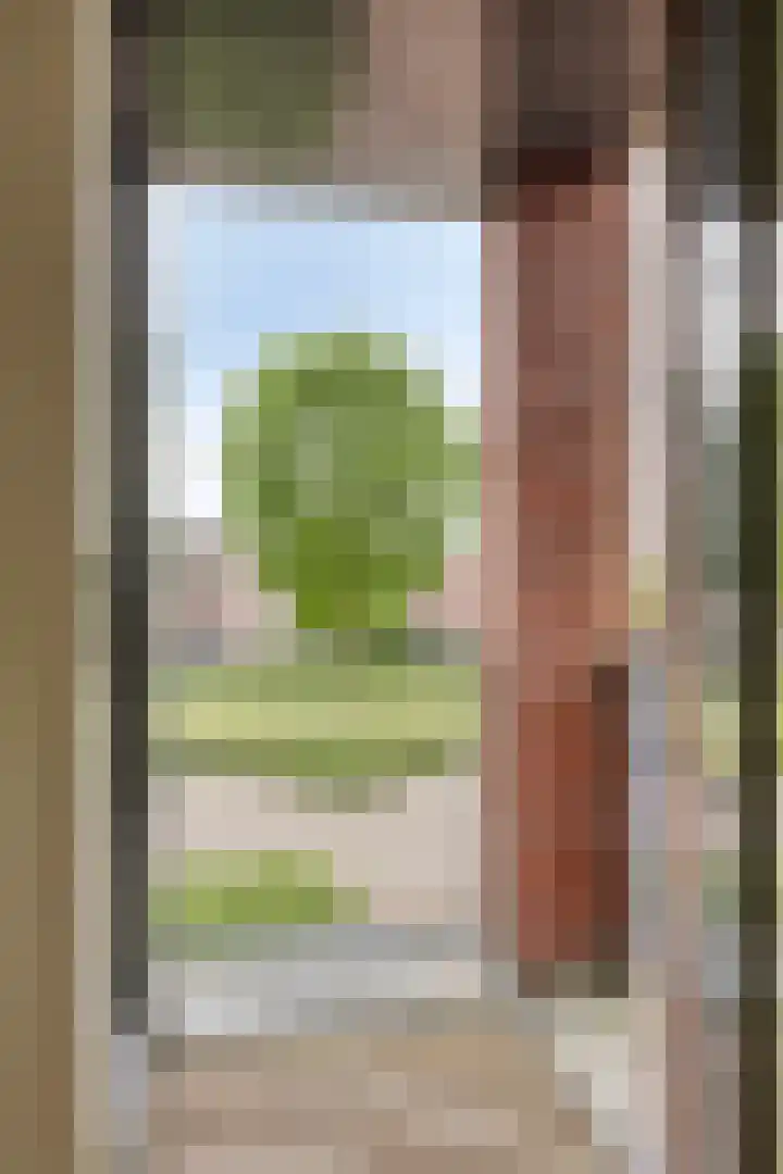 Poelshof 3 Hooge Mierde thumbnail 29