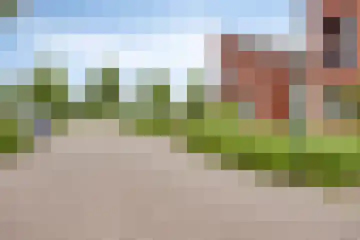Poelshof 3 Hooge Mierde foto 3