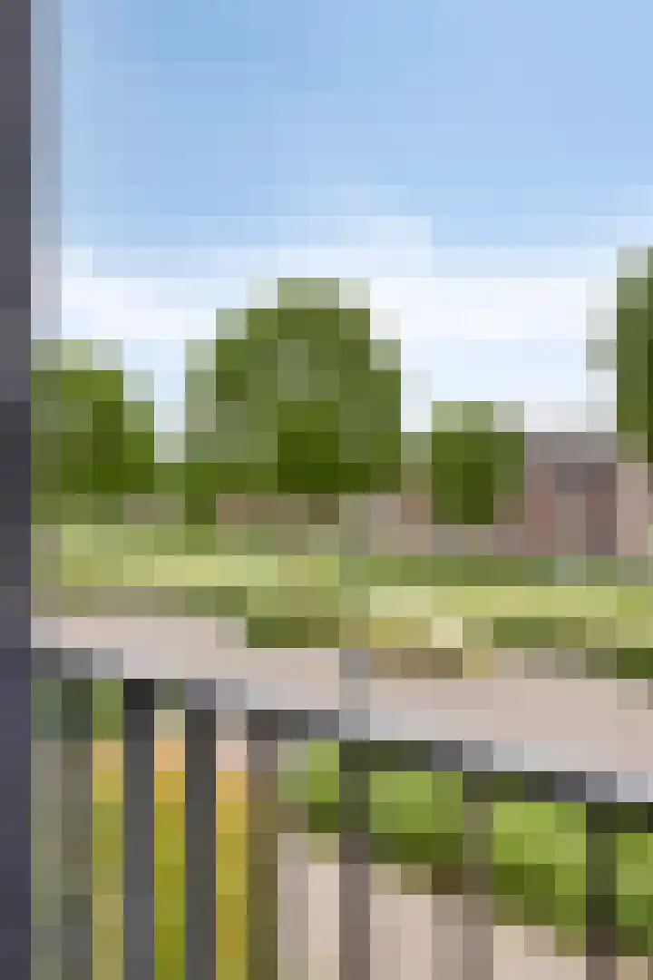 Poelshof 3 Hooge Mierde thumbnail 30