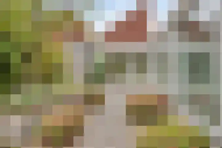 Poelshof 3 Hooge Mierde thumbnail 32