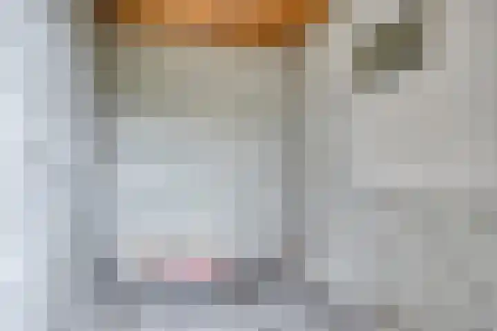 Poelshof 3 Hooge Mierde thumbnail 33