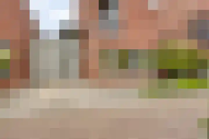 Poelshof 3 Hooge Mierde thumbnail 4