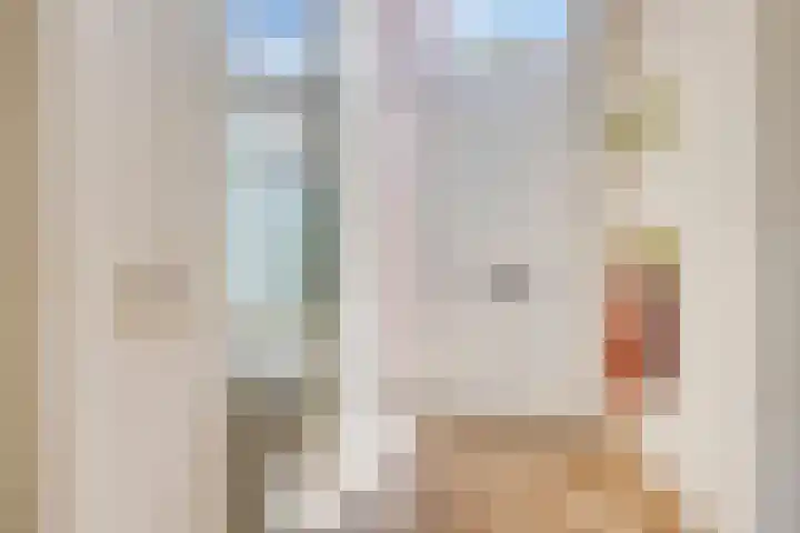 Poelshof 3 Hooge Mierde thumbnail 5