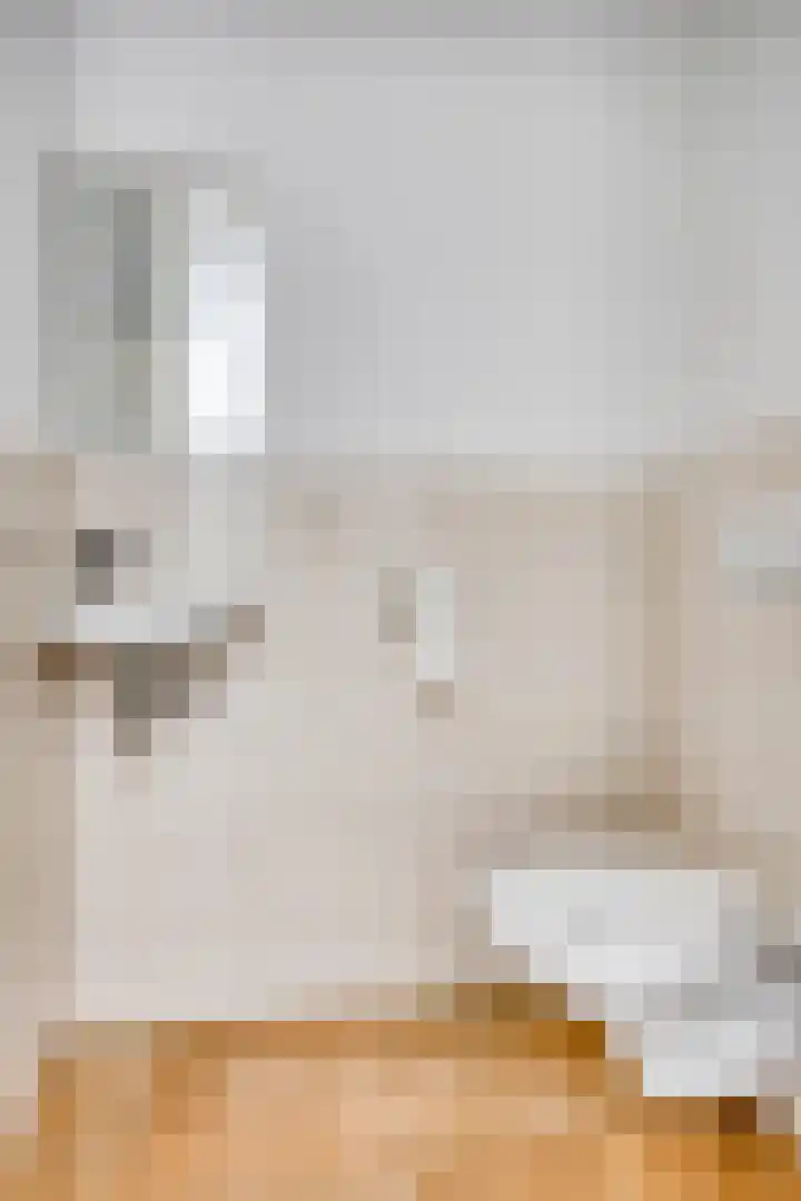 Poelshof 3 Hooge Mierde thumbnail 8