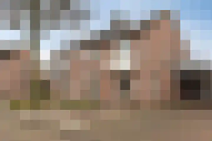 Poelsnip 10 Budel-Schoot
