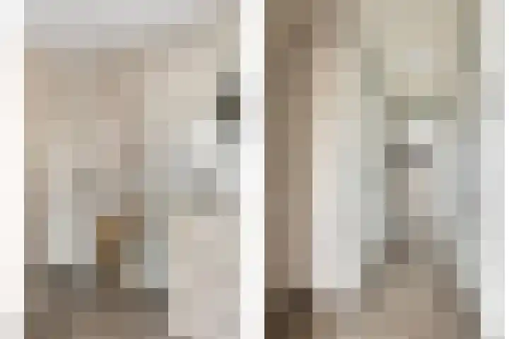 Poelsnip 10 Budel-Schoot thumbnail 11