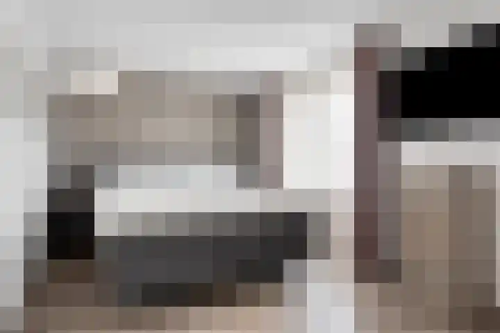 Poelsnip 10 Budel-Schoot thumbnail 12