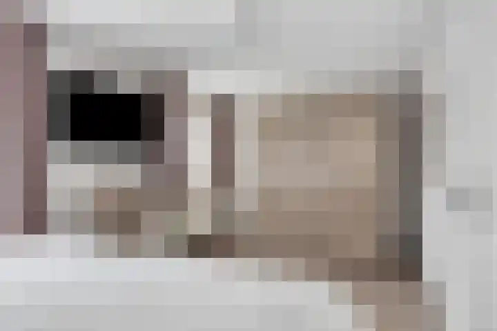 Poelsnip 10 Budel-Schoot thumbnail 13
