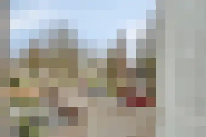 Poelsnip 10 Budel-Schoot thumbnail 14
