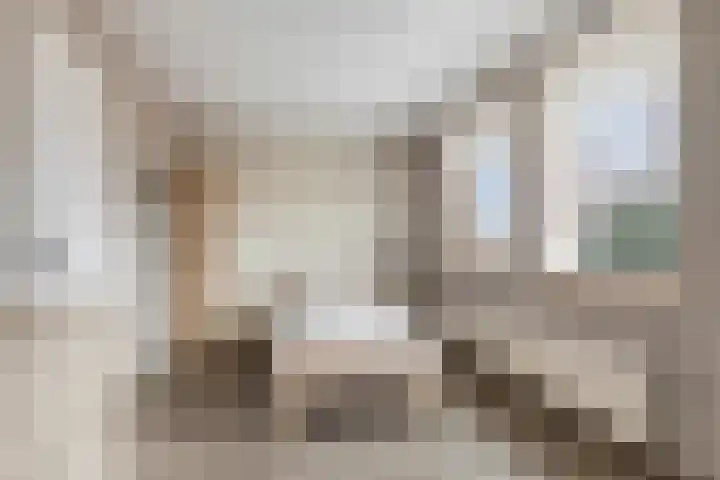 Poelsnip 10 Budel-Schoot thumbnail 15