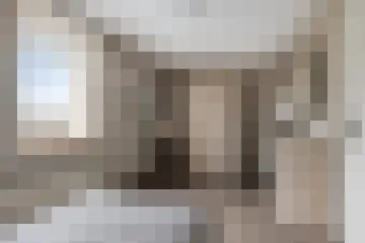 Poelsnip 10 Budel-Schoot thumbnail 16