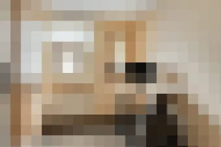 Poelsnip 10 Budel-Schoot thumbnail 17