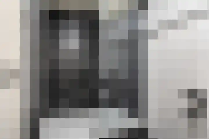 Poelsnip 10 Budel-Schoot thumbnail 19