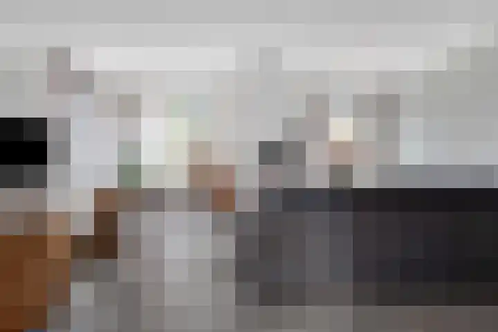 Poelsnip 10 Budel-Schoot foto 2