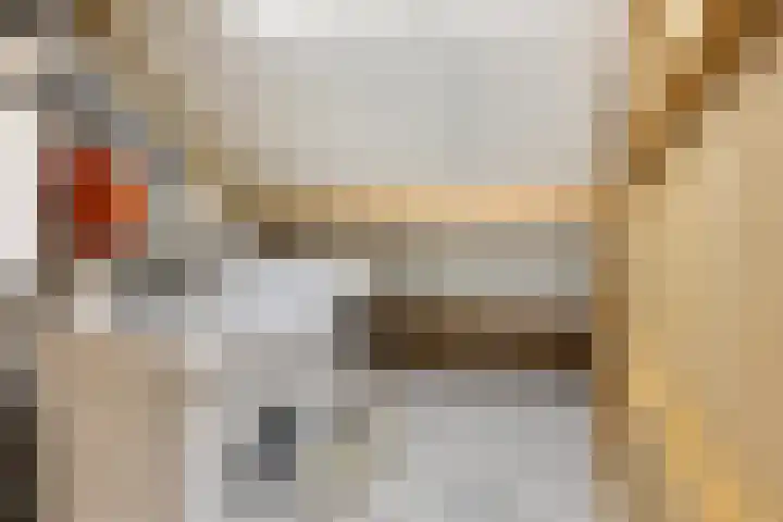Poelsnip 10 Budel-Schoot thumbnail 22