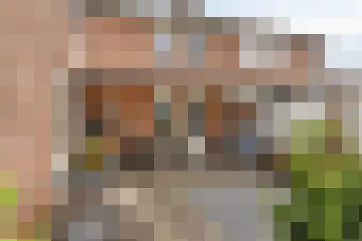 Poelsnip 10 Budel-Schoot thumbnail 26