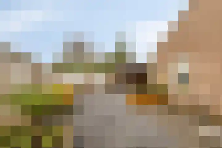Poelsnip 10 Budel-Schoot thumbnail 27