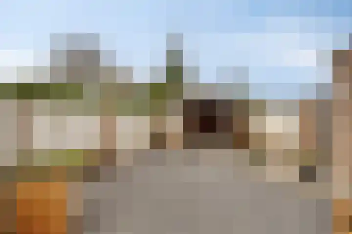 Poelsnip 10 Budel-Schoot thumbnail 28