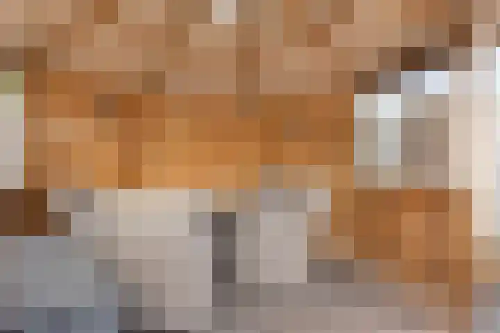 Poelsnip 10 Budel-Schoot thumbnail 29