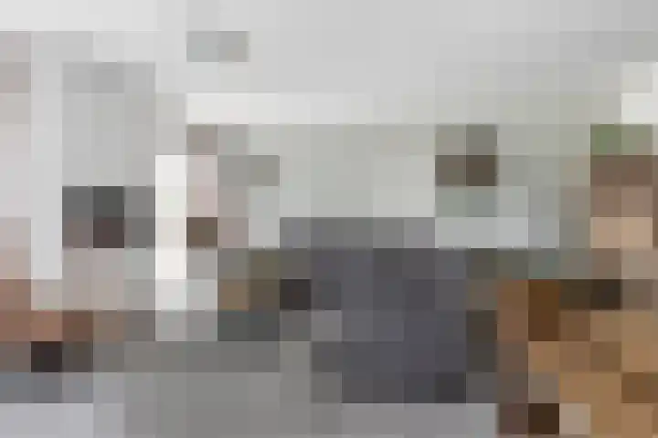 Poelsnip 10 Budel-Schoot foto 3