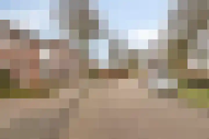 Poelsnip 10 Budel-Schoot thumbnail 30
