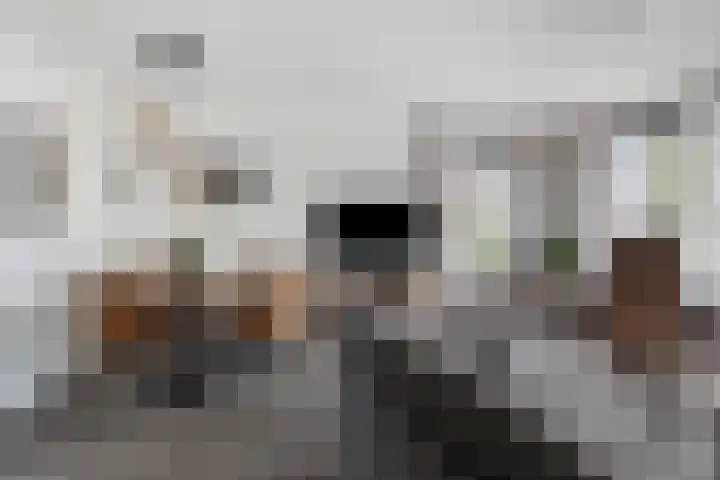 Poelsnip 10 Budel-Schoot thumbnail 5