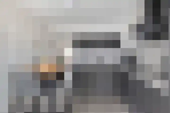 Poelsnip 10 Budel-Schoot thumbnail 7