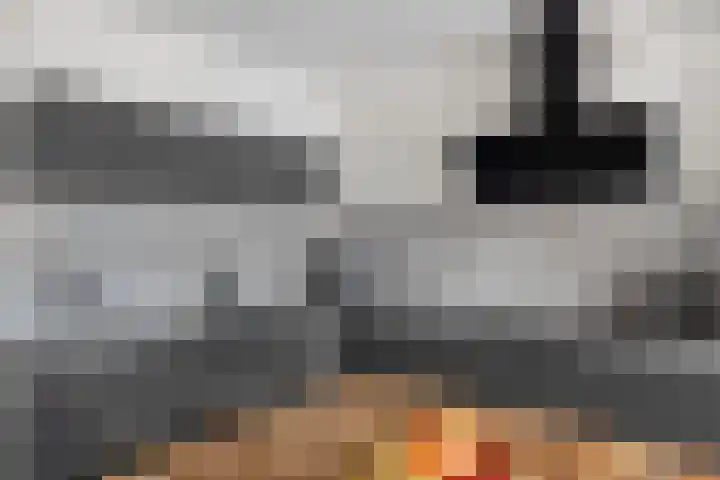 Poelsnip 10 Budel-Schoot thumbnail 8