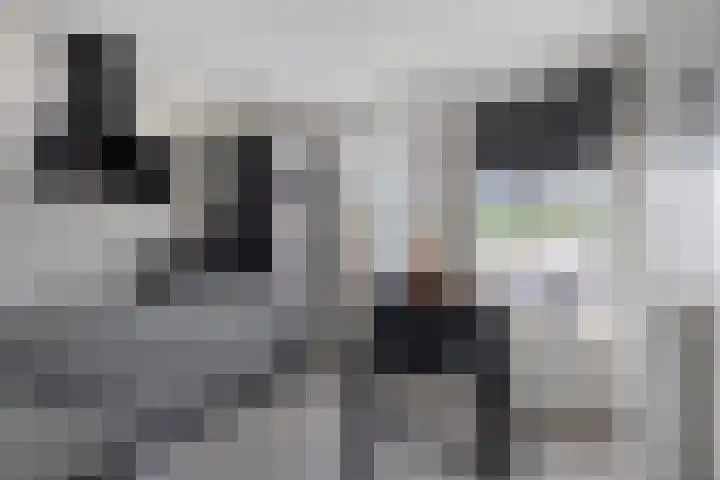 Poelsnip 10 Budel-Schoot thumbnail 9