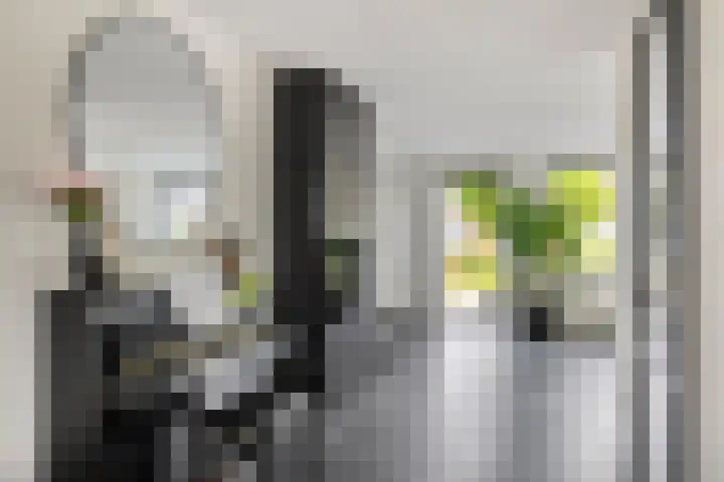 Poelsnip 11 Bedum thumbnail 12