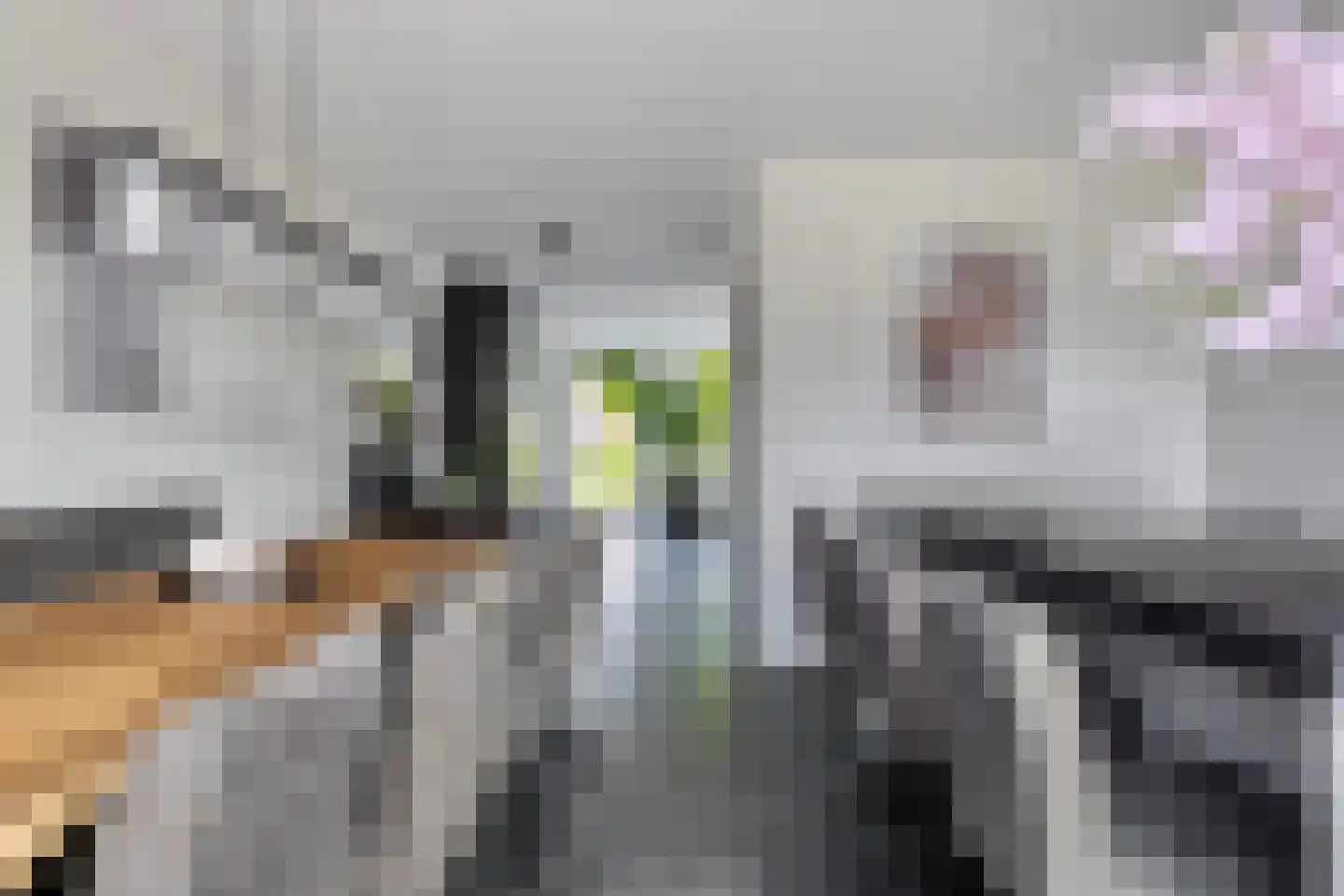 Poelsnip 11 Bedum thumbnail 15