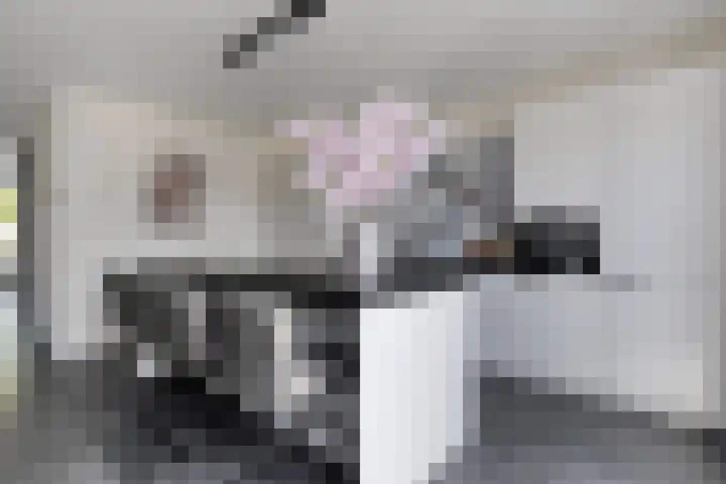 Poelsnip 11 Bedum thumbnail 16