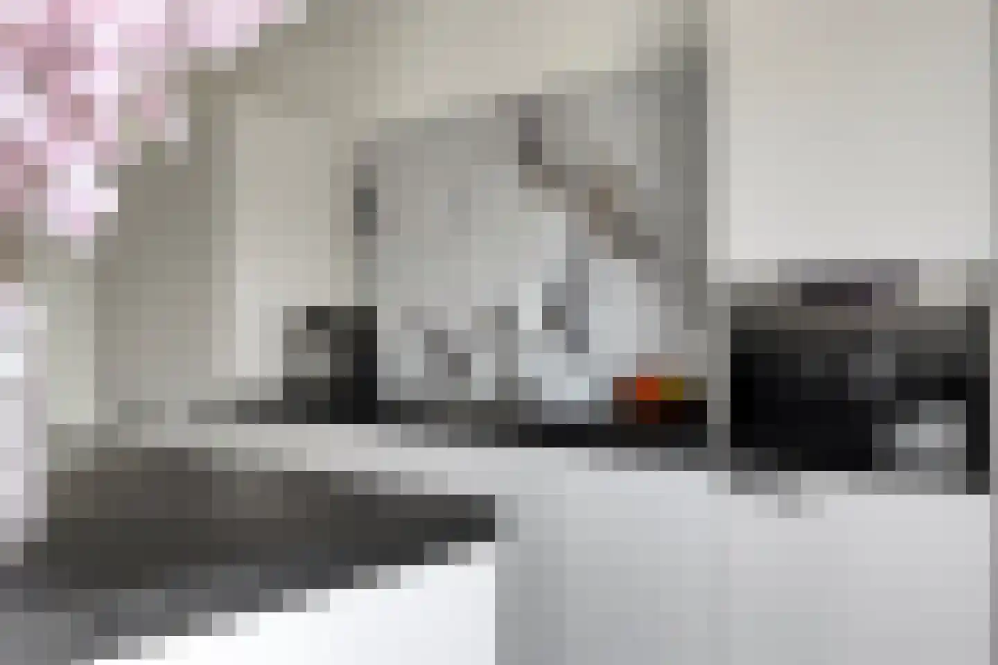 Poelsnip 11 Bedum thumbnail 17