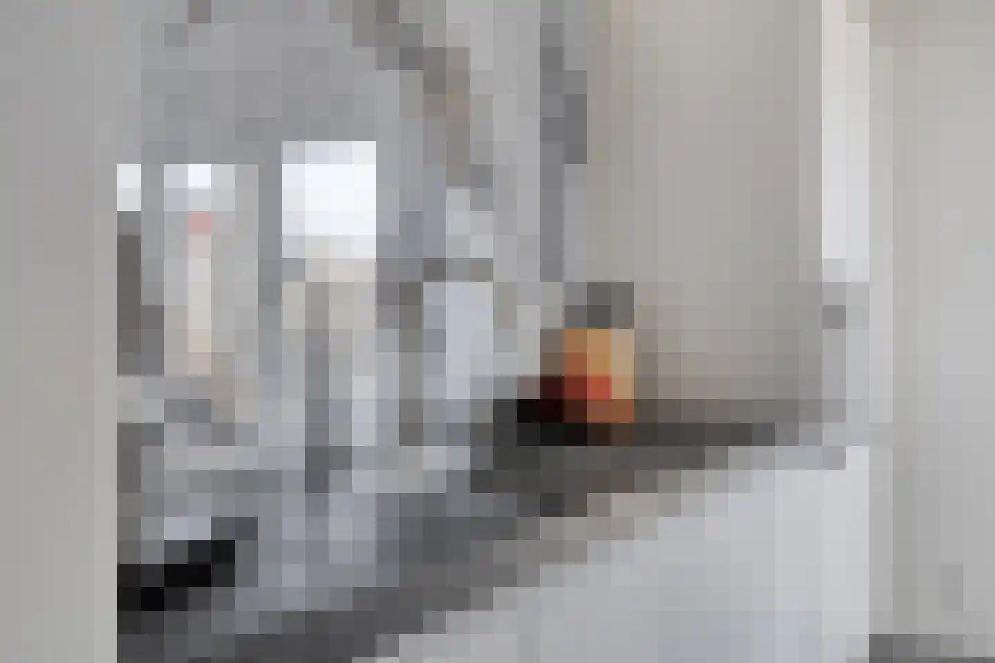 Poelsnip 11 Bedum thumbnail 19