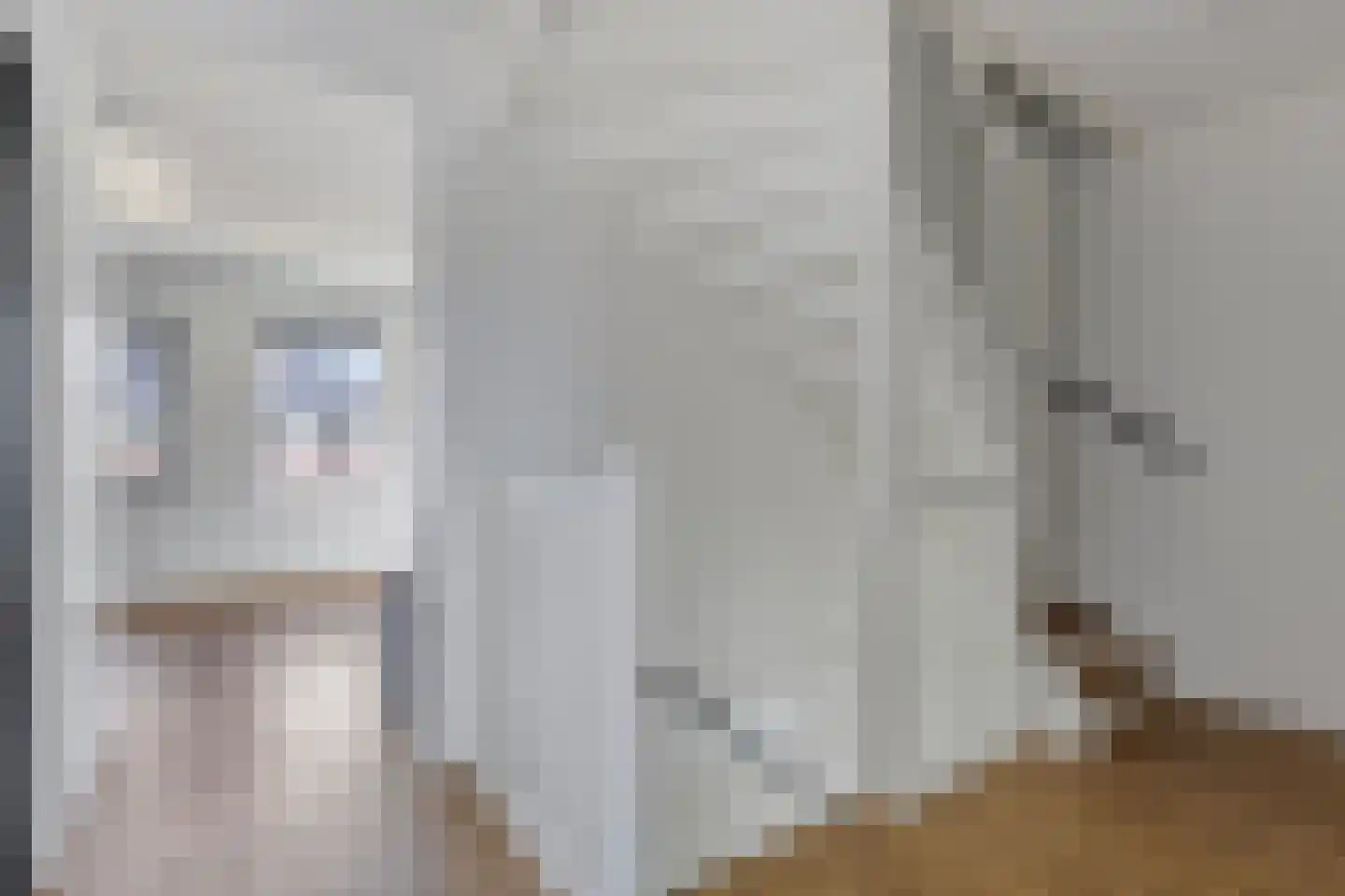 Poelsnip 11 Bedum thumbnail 20